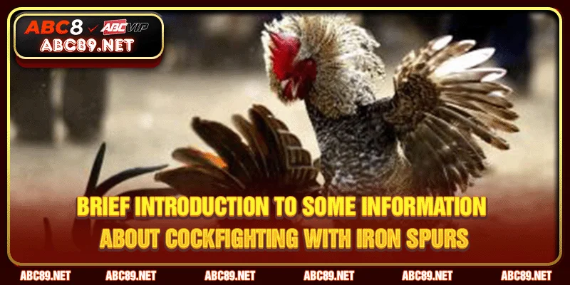 Brief introduction to some information about cockfighting with iron spurs