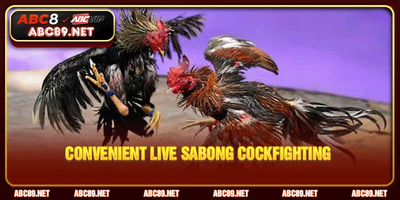 Convenient live sabong cockfighting