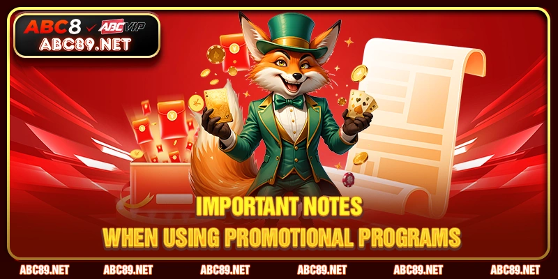 Important notes when using promotional programs
