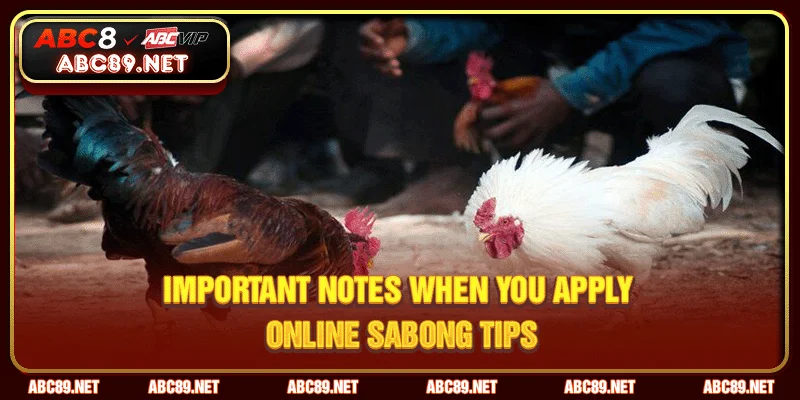 Important notes when you apply Online Sabong Tips