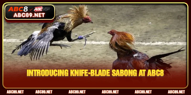 Introducing Knife-Blade Sabong at ABC8