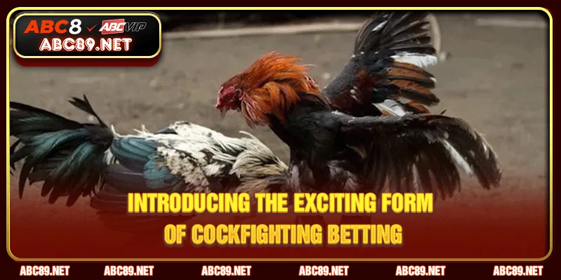 Introducing the exciting form of cockfighting betting