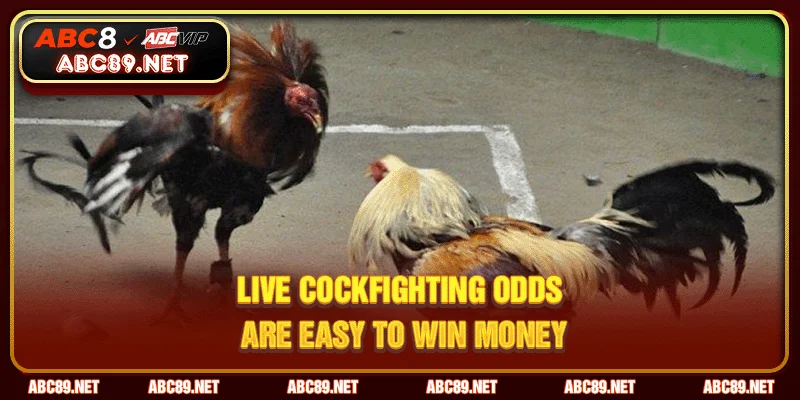 Live cockfighting odds are easy to win money