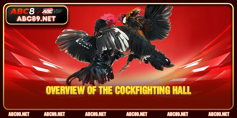 Overview of the cockfighting hall