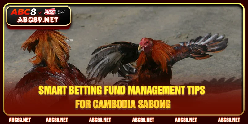 Everything You Need to Know About Cockfight Betting in Cambodia